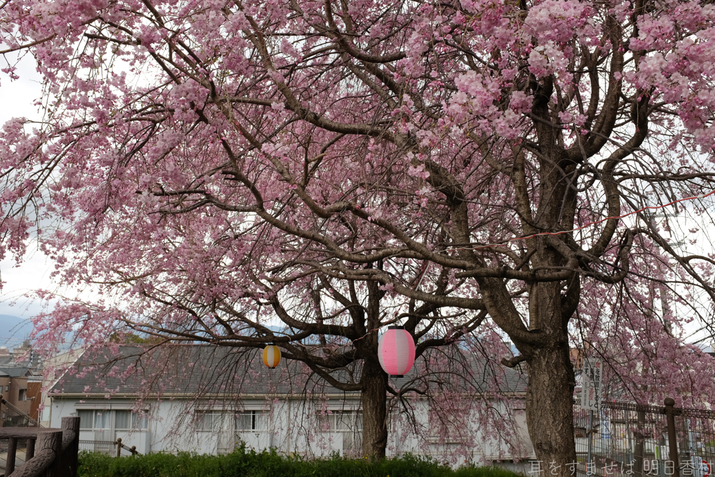 橿原市　石川町