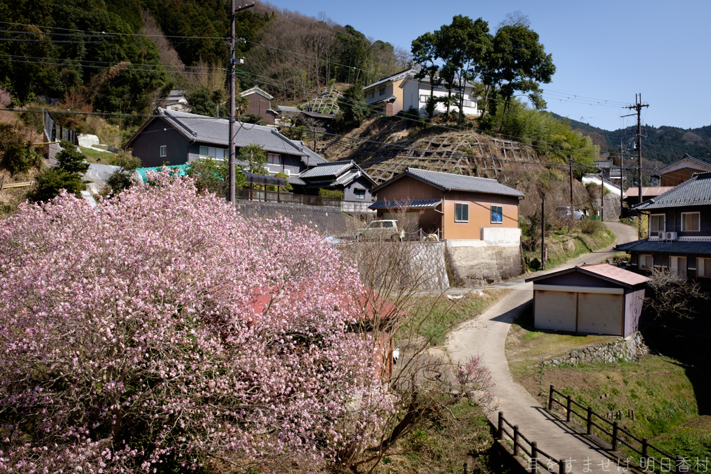 明日香村　大字稲渕