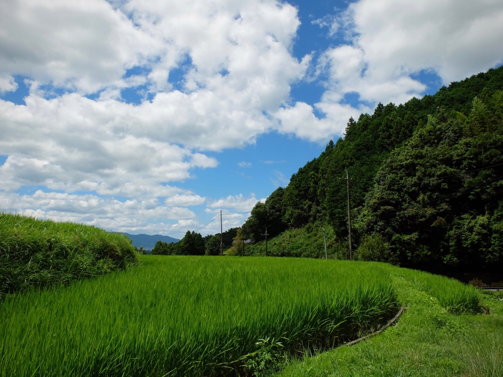 明日香村 尾曽（ おおそ ）