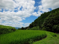 明日香村 尾曽（ おおそ ）