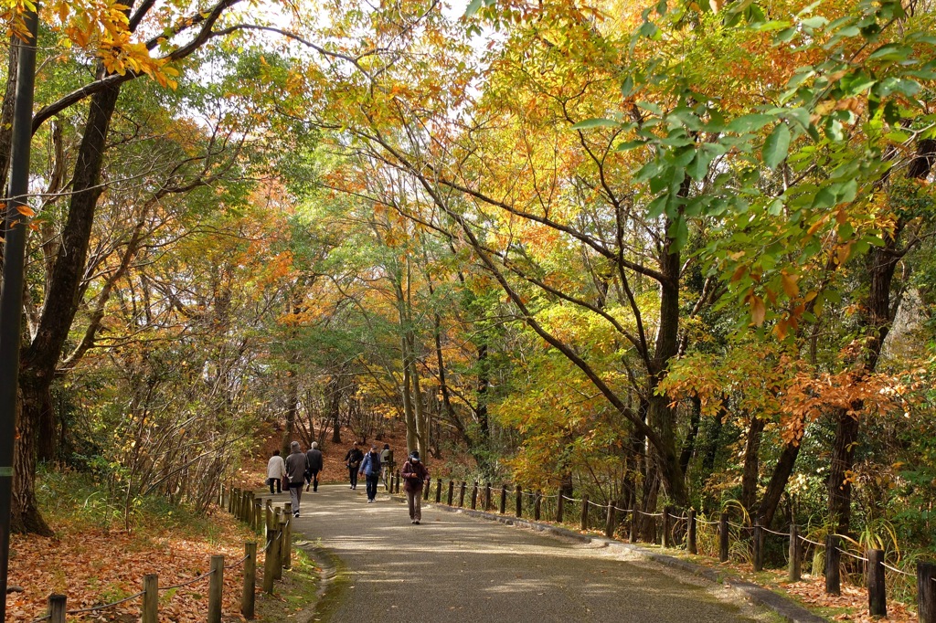 奈良県北葛城郡河合町、広陵町　馬見丘陵公園