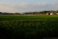 明日香村　大字飛鳥