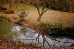 明日香村 大字豊浦（ 甘樫丘 ）