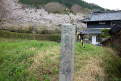 明日香村　大字稲渕　坂田寺跡