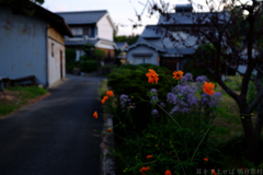 明日香村　大字平田