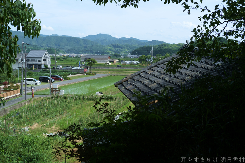 橿原市　天香久山付近