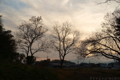 橿原市木之本町