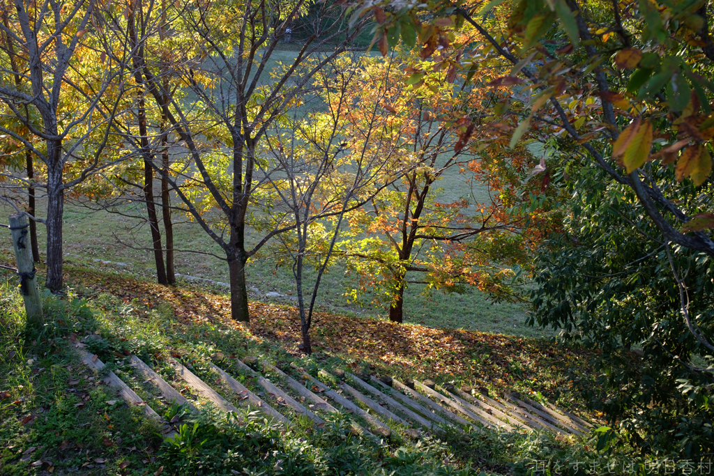 明日香村　大字檜前　国営飛鳥歴史公園キトラ古墳周辺地区