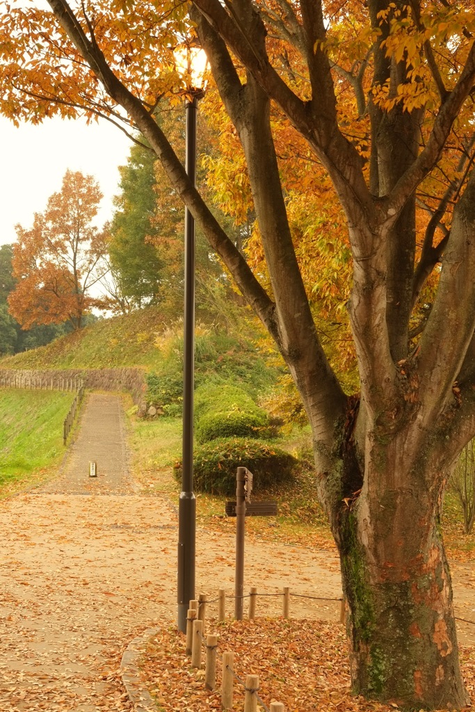 明日香村　国営飛鳥歴史公園 高松塚周辺地区