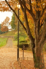 明日香村 国営飛鳥歴史公園 高松塚周辺地区 明日香村 国営飛鳥歴史公園 高松塚周辺地区