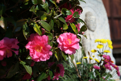 橿原市小綱町　入鹿神社