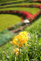 明日香村 大字稲淵