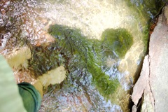 明日香村 大字稲渕 明日香村 大字稲渕