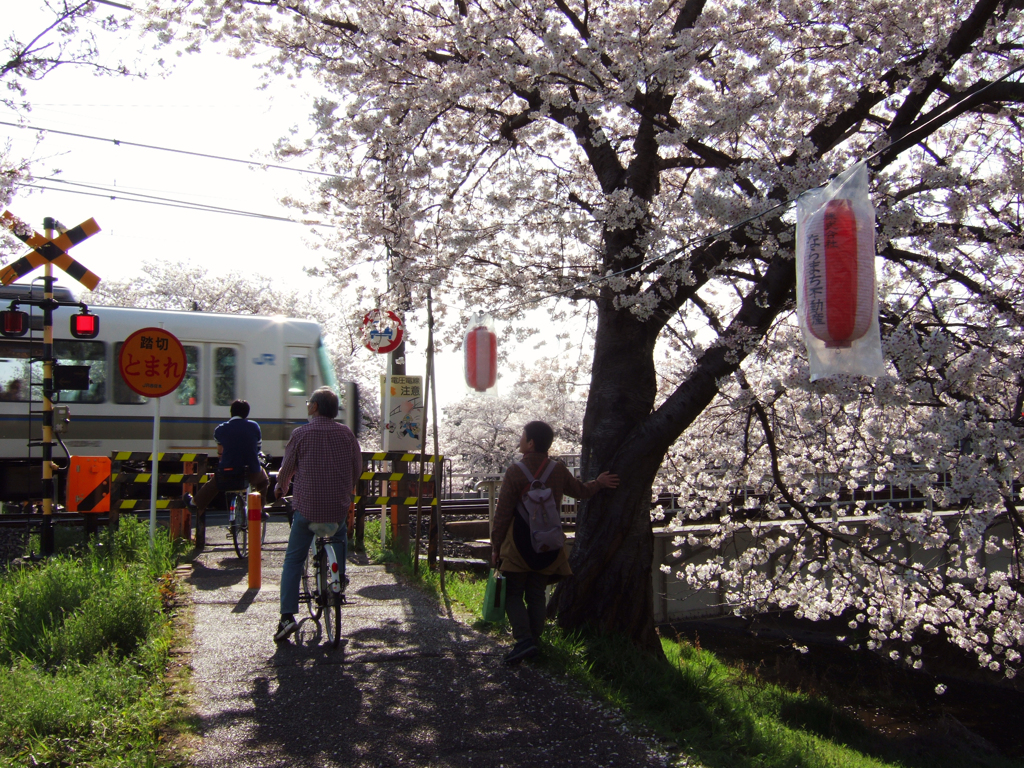 奈良県奈良市　佐保川沿い