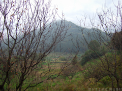 明日香村　大字稲渕