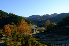 明日香村　大字稲渕