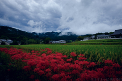 明日香村　大字橘