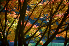 明日香村　大字稲渕