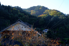 明日香村　大字稲渕