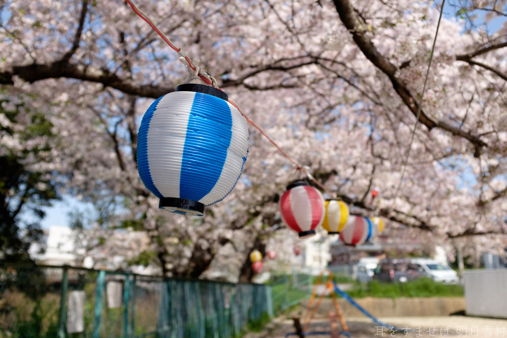 橿原市菖蒲町