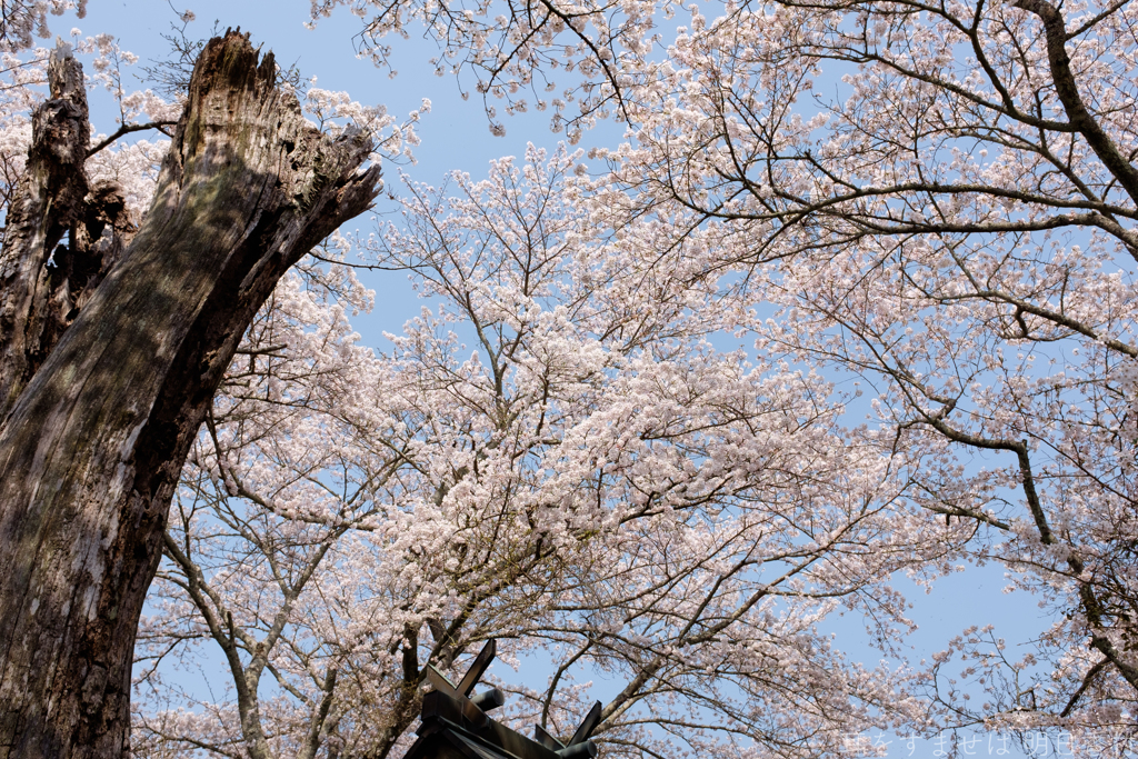 明日香村　大字稲渕