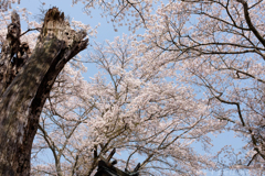明日香村 大字稲渕 明日香村 大字稲渕