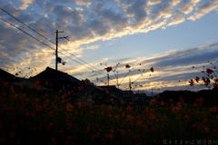 明日香村 大字岡 明日香村 大字岡