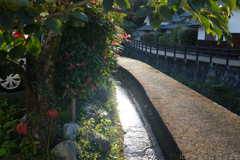 明日香村　大字祝戸