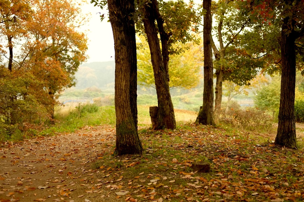 明日香村　国営飛鳥歴史公園 高松塚周辺地区