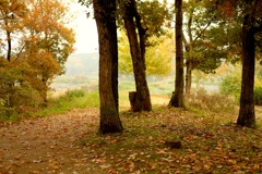 明日香村 国営飛鳥歴史公園 高松塚周辺地区 明日香村 国営飛鳥歴史公園 高松塚周辺地区