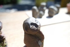 明日香村 大字岡 岡本寺 明日香村 大字岡 岡本寺