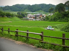 明日香村 立部 明日香村 立部