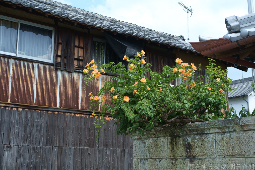 明日香村　大字奥山