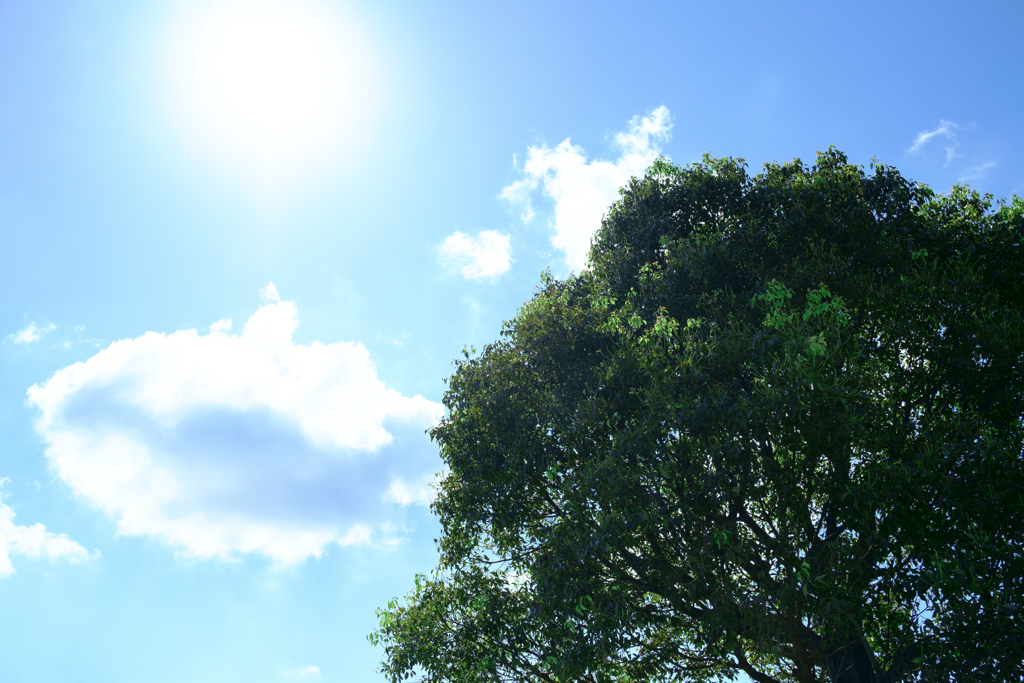 明日香村　大字御園
