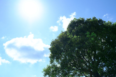 明日香村　大字御園