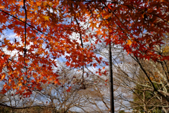 明日香村 大字平田( 国営飛鳥歴史公園 高松塚周辺地区 ) 明日香村 大字平田( 国営飛鳥歴史公園 高松塚周辺地区 )