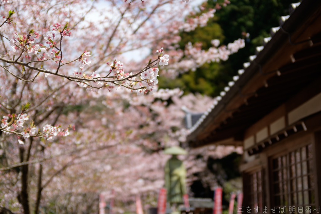 明日香村　大字岡
