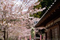 明日香村 大字岡 明日香村 大字岡