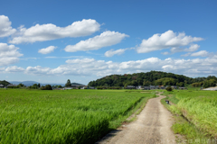 明日香村 大字小山 明日香村 大字小山