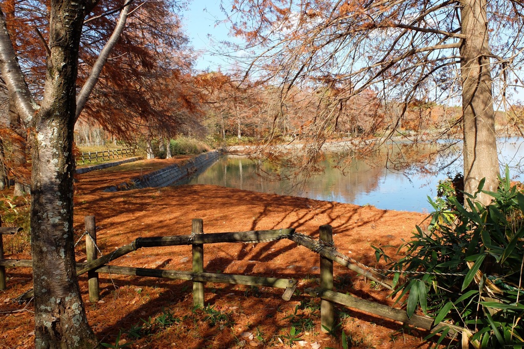 奈良県北葛城郡河合町、広陵町　馬見丘陵公園