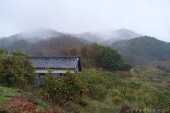 明日香村 大字平田