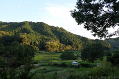 明日香村　大字稲渕