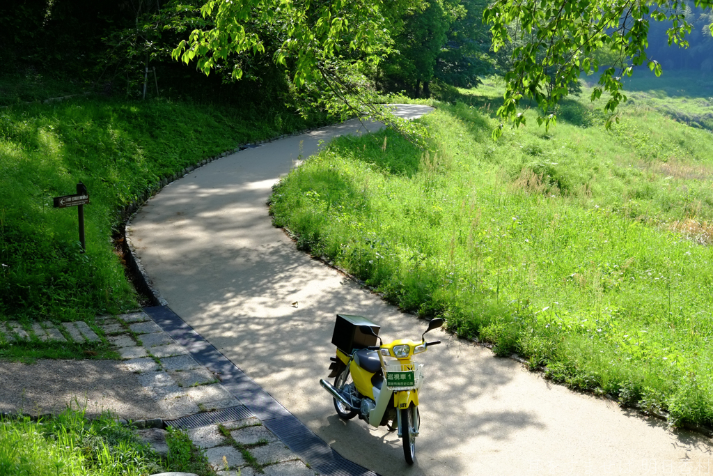 明日香村　大字豊浦
