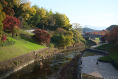 奈良県生駒郡斑鳩町　竜田川沿いの紅葉