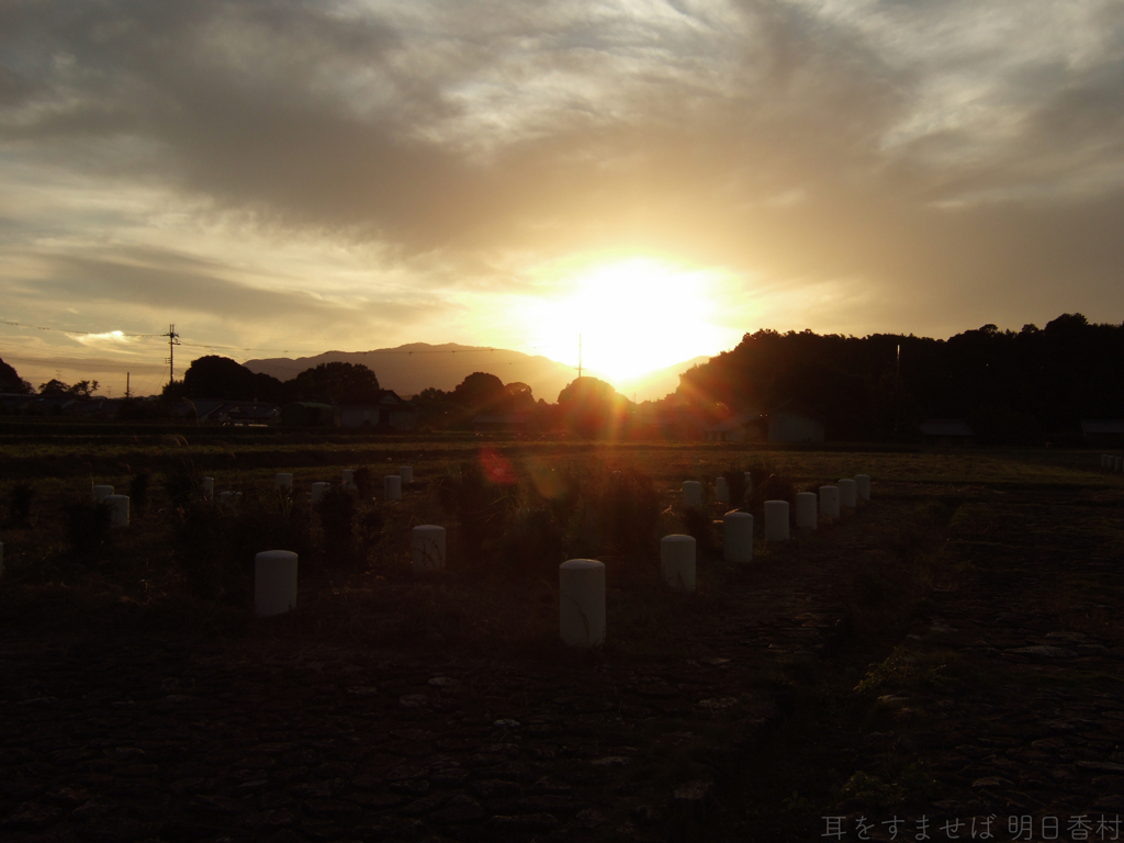 明日香村　大字豊浦　飛鳥京跡