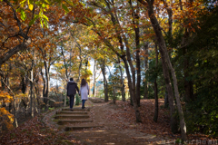 明日香村 大字平田( 国営飛鳥歴史公園 高松塚周辺地区 ) 明日香村 大字平田( 国営飛鳥歴史公園 高松塚周辺地区 )