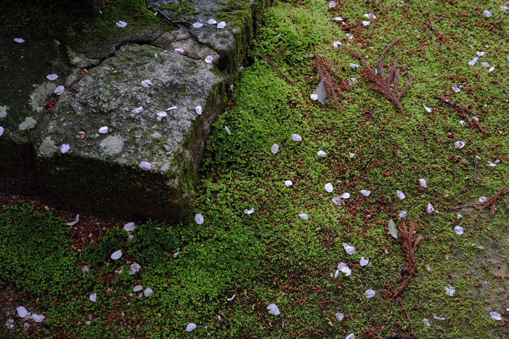 明日香村　大字島庄