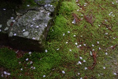 明日香村 大字島庄 明日香村 大字島庄