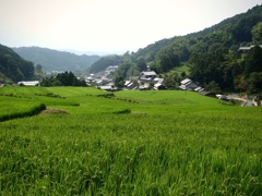 明日香村 尾曽（ おおそ ）