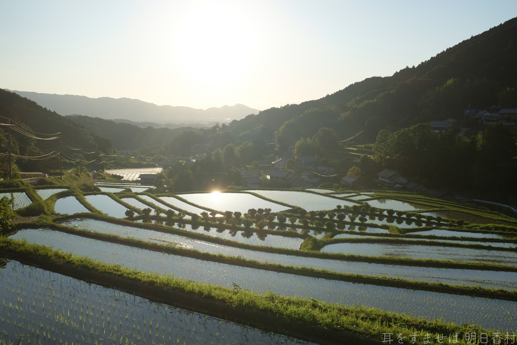 明日香村　大字細川